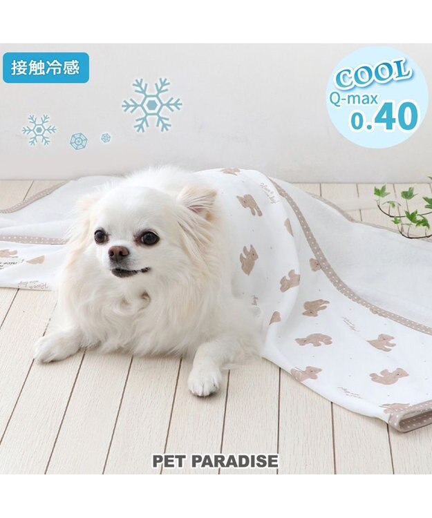 PET PARADISE ペットパラダイス クールケット 《くま柄》 小型犬 くま柄