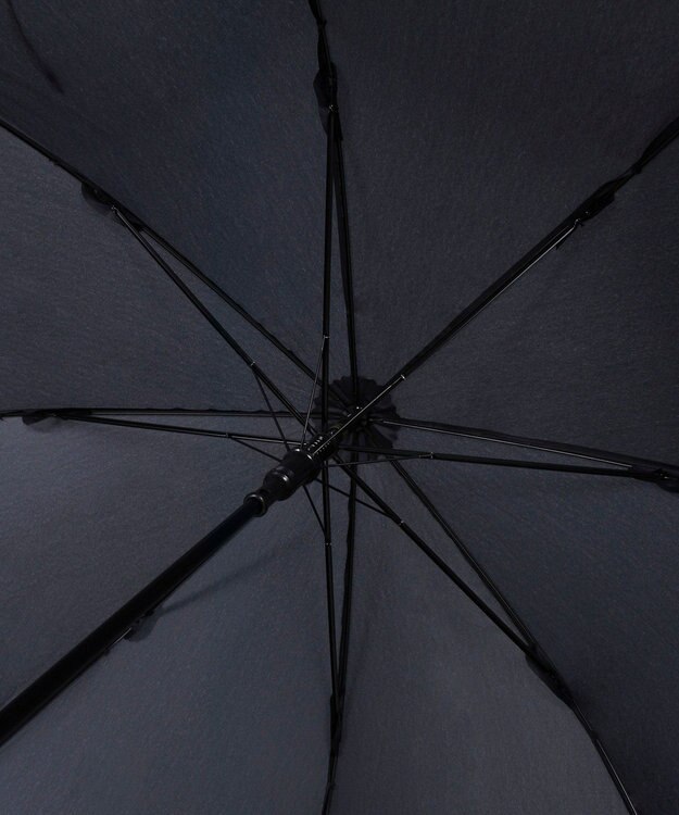 MOONBAT 【WEB限定】POLO RALPH LAUREN（ポロ ラルフローレン）ポロベア×チェックパイピング 無地 FLAG BEAR 長傘 8本骨 ブラック