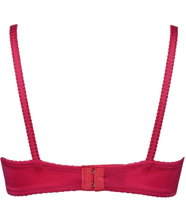 Wing ブラジャー Wing Lesiage 自然なまるみシルエット ソフトなつけごこち 【2960シリーズ】 ブラ PB2960 ウイング／ワコール レッド