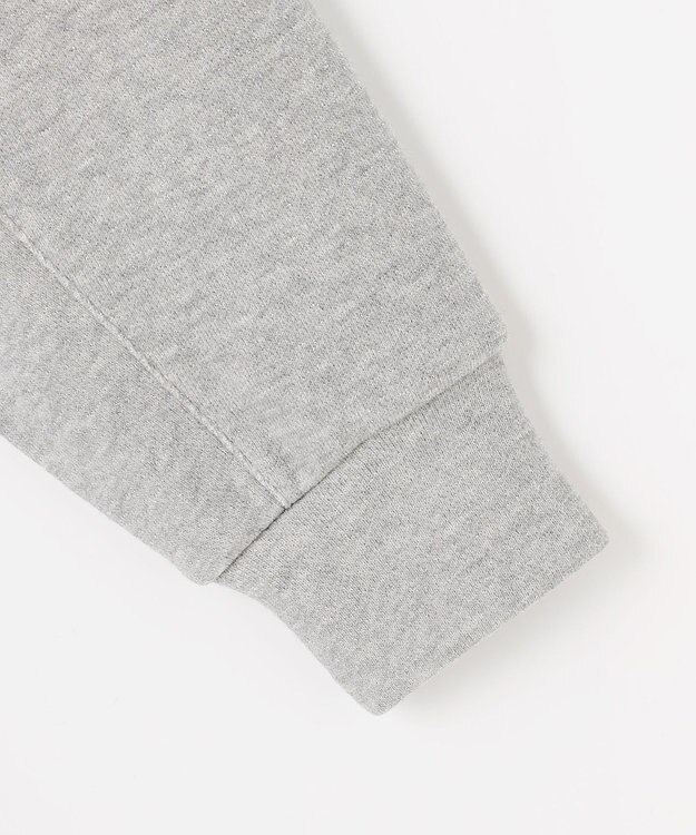 J.PRESS LADIES S ラメ裏毛 カットソー グレー系