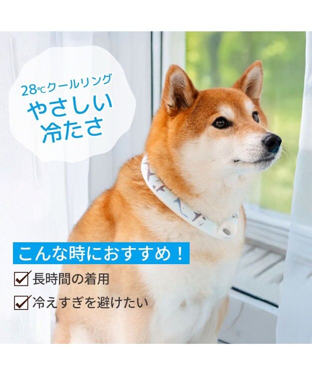PET PARADISE ペットパラダイス ２８℃ クールリング Ｌ 《サメ柄》 ブルー