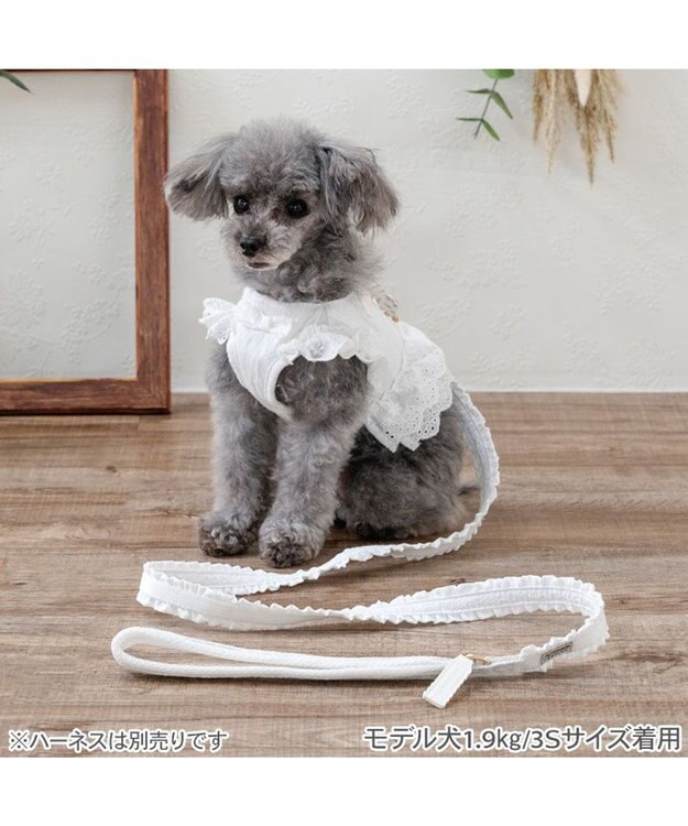 PET PARADISE ペットパラダイス レースフリル リード ＳＳ～Ｓ ホワイト