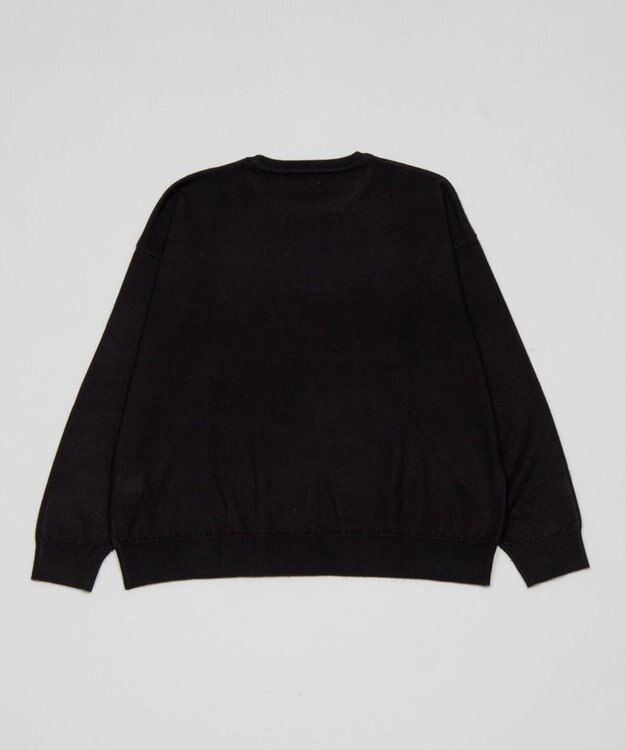 WEGO アクセ付きワンポイントニットプルオーバー（LS） ブラック
