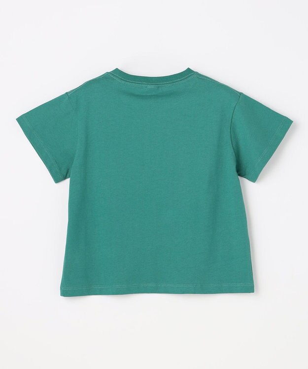 ANY KIDS 【洗濯機可能】昆虫プリント 半袖Tシャツ グリーン