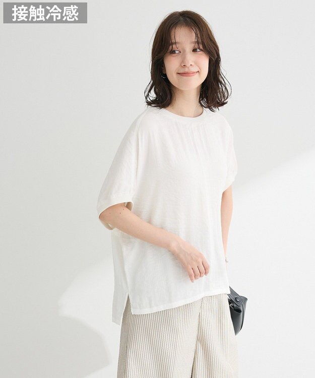 Green Parks Ｔブラウスドルマンスリーブプルオーバー Ecru