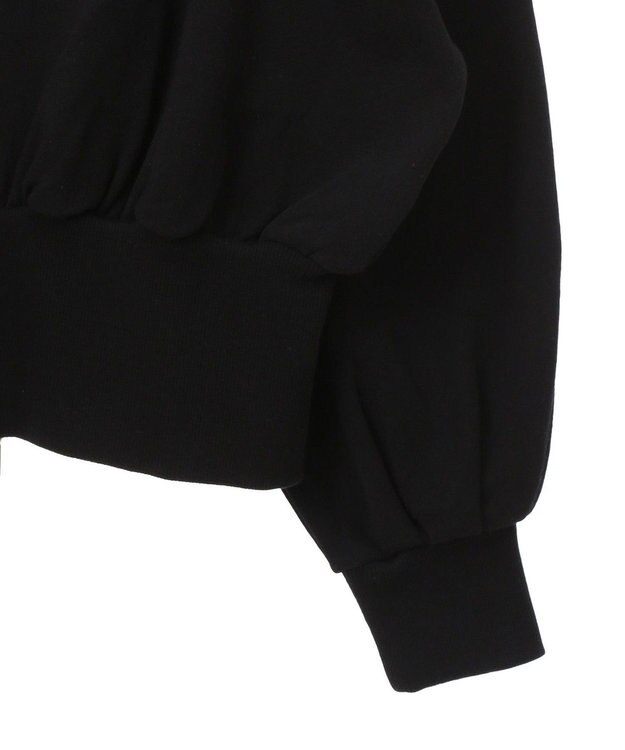 Green Parks バックＺＩＰスウェット Black