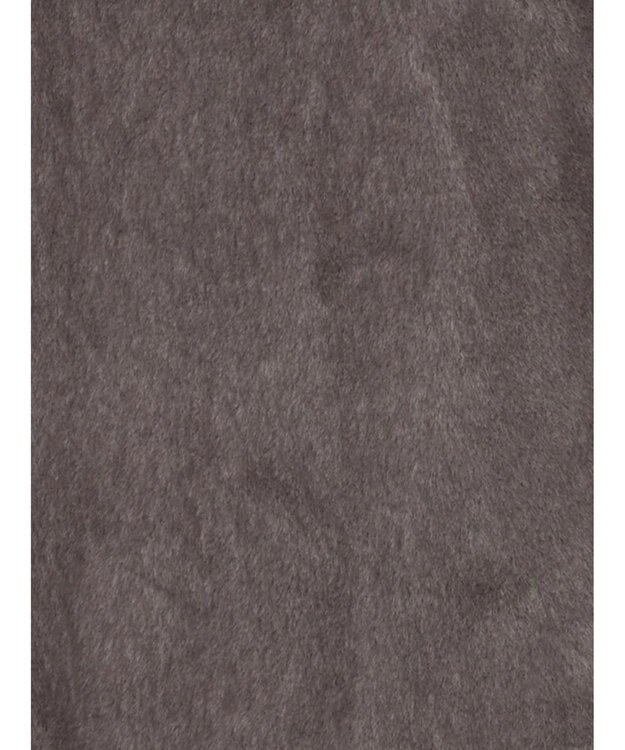 Te chichi グラデーションファーノーカラージャケット《2025winter catalog item》 グレー