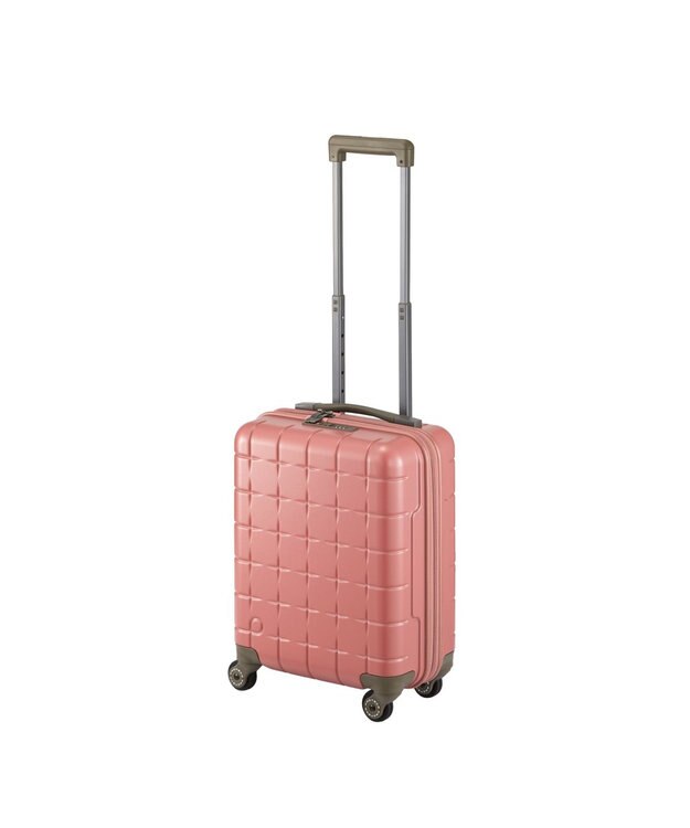 ACE BAGS & LUGGAGE Proteca 360G4 スーツケース 日本製 24L コインロッカー 機内持ち込み 02420 プロテカ ダスティーローズ
