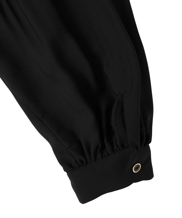 Green Parks Ｏ．袖プリーツブラウス Black