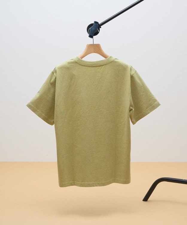 AMERICAN HOLIC DISCUS パウダーブリーチ加工Tシャツ Pistachio