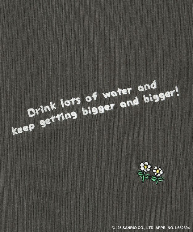 ANY 【ハローキティ×ANY】ロゴTシャツ チャコール刺繍