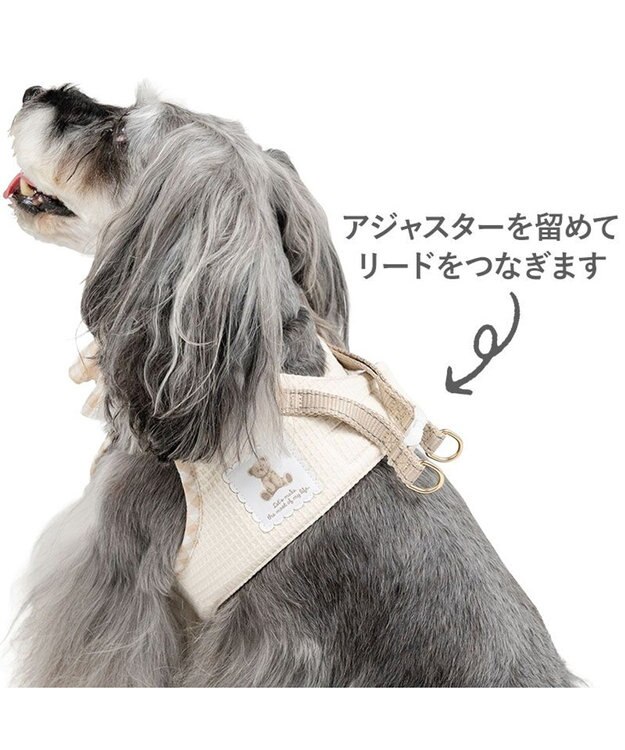 PET PARADISE ペットパラダイス くまちゃん ピエロ襟ベストハーネス ４Ｓ / ３Ｓ ベージュ