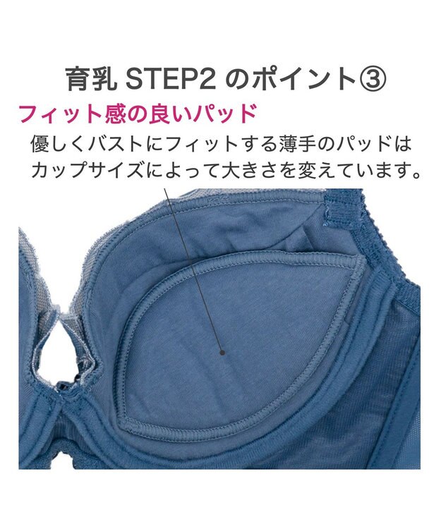 BRADELIS New York 【BRADELIS New York / 育乳補整ブラ・STEP2 寄せる】ローズステップ2ブラ24S1 脇高設計でスッキリ補正 ブルー