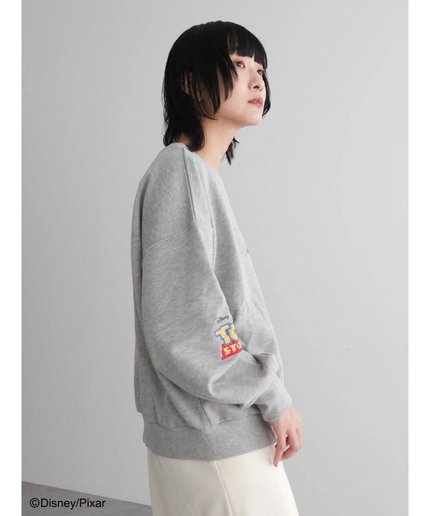 Green Parks ＴＯＹ　ＳＴＯＲＹ／クロスステッチスウェット A