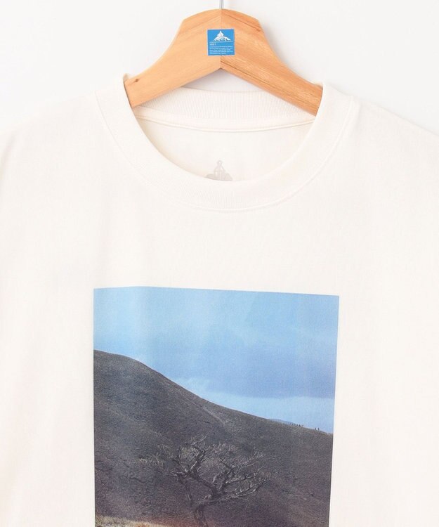 SHARE PARK LADIES 【UVカット・吸水速乾・ストレッチ・軽量 】フォトプリントTシャツ（S・Mサイズ） ホワイト系