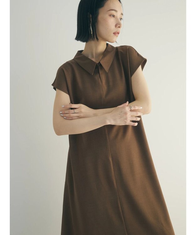 Green Parks armonia.襟付きフレアワンピース Brown
