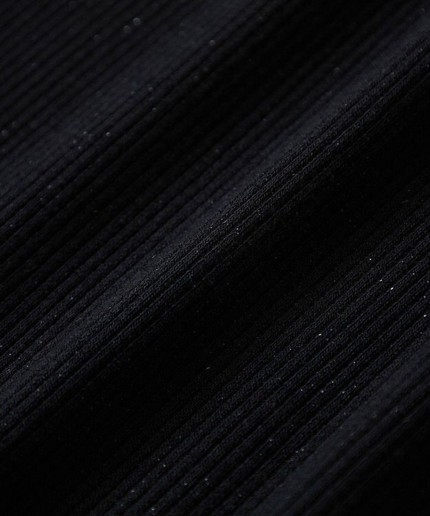 earth music&ecology ラメテレコハイネックプルオーバー Black