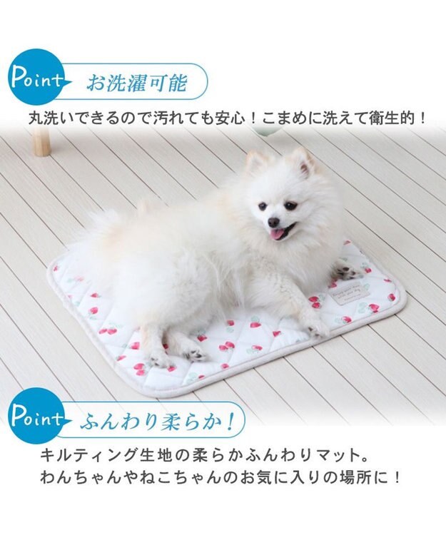 PET PARADISE 犬 クール マット 冷感 柔らか クールマット (48×40cm) 苺 くまちゃん ネイティブ 接触冷感 ひんやり ペット 苺柄