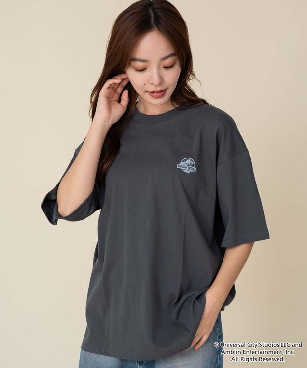WEGO 【ユニセックス着用ITEM/SMLサイズ展開】JURASSIC　PARKグラフィックT（S） 柄4