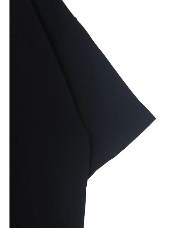 Green Parks Ｄｉｓｎｅｙ１００　ライオンキング／Ｔシャツ Black