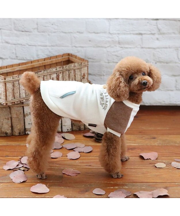 PET PARADISE ペットパラダイス  ワンダフルストレッチ フリース トレーナー《クレイジーカラー 》小型犬 白