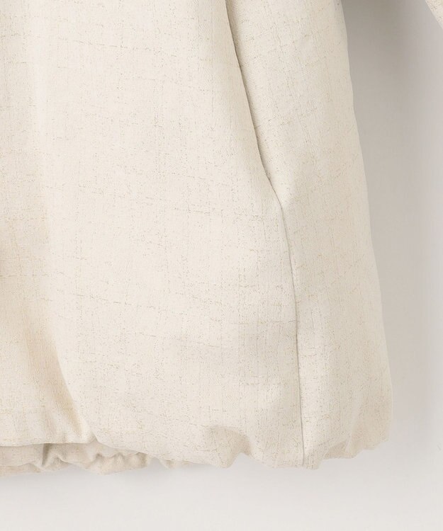 自由区 【カタログ掲載・Premium Collection】シャイニージャガード ダウンコート シャンパンベージュ