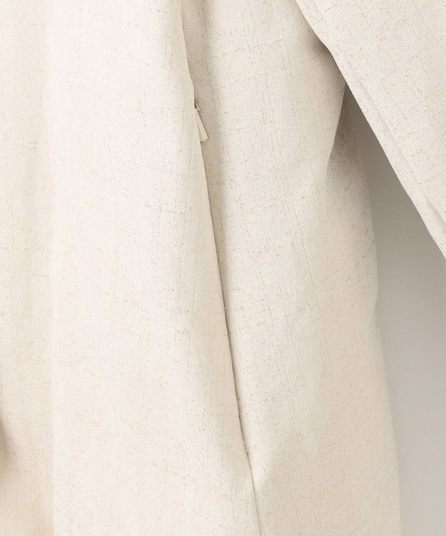 自由区 【カタログ掲載・Premium Collection】シャイニージャガード ダウンコート シャンパンベージュ