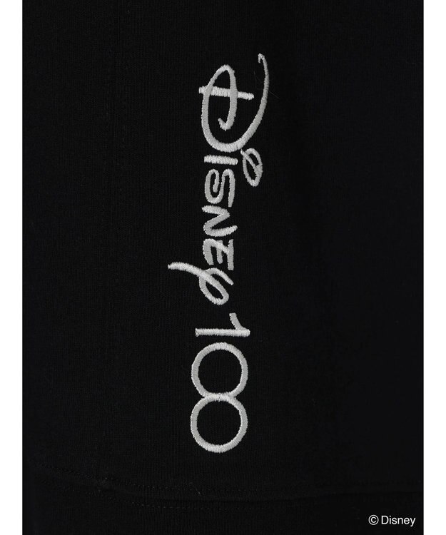 Green Parks Ｄｉｓｎｅｙ１００　ライオンキング／Ｔシャツ Black