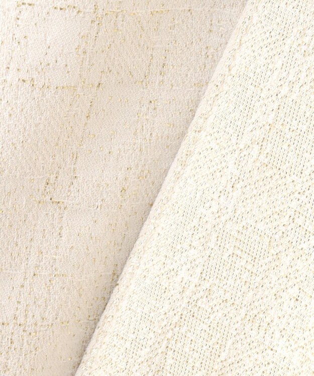 自由区 【カタログ掲載・Premium Collection】シャイニージャガード ダウンコート シャンパンベージュ