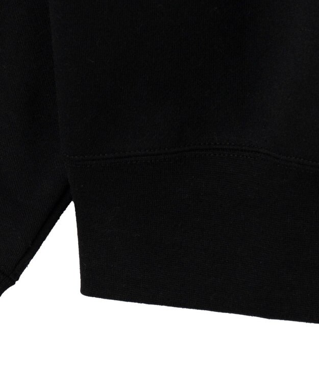 WEGO 【ユニセックス着用ITEM/裏起毛】別注BENDAVISワンポイントプルオーバー ブラック