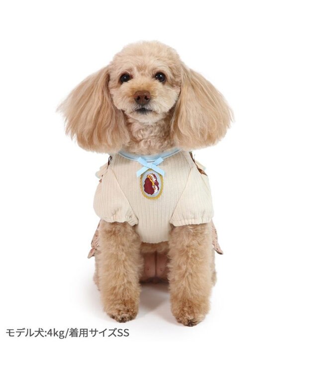PET PARADISE ディズニー わんわん物語 レディ ワンピース 《モノグラム柄》 小型犬 モノグラム柄