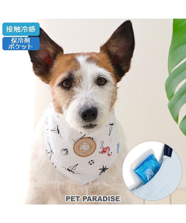 PET PARADISE J.PRESS リップル クールバンダナ 小型犬 白～オフホワイト