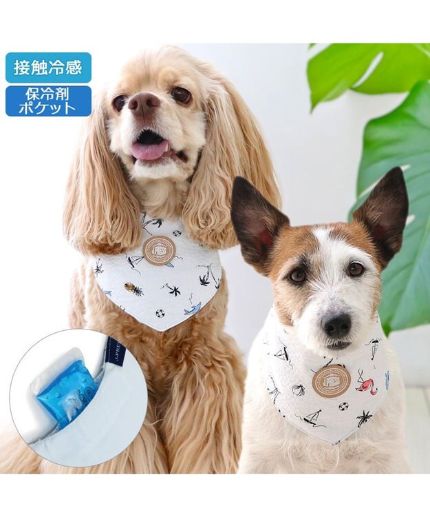 PET PARADISE J.PRESS リップル クールバンダナ 小型犬 白～オフホワイト
