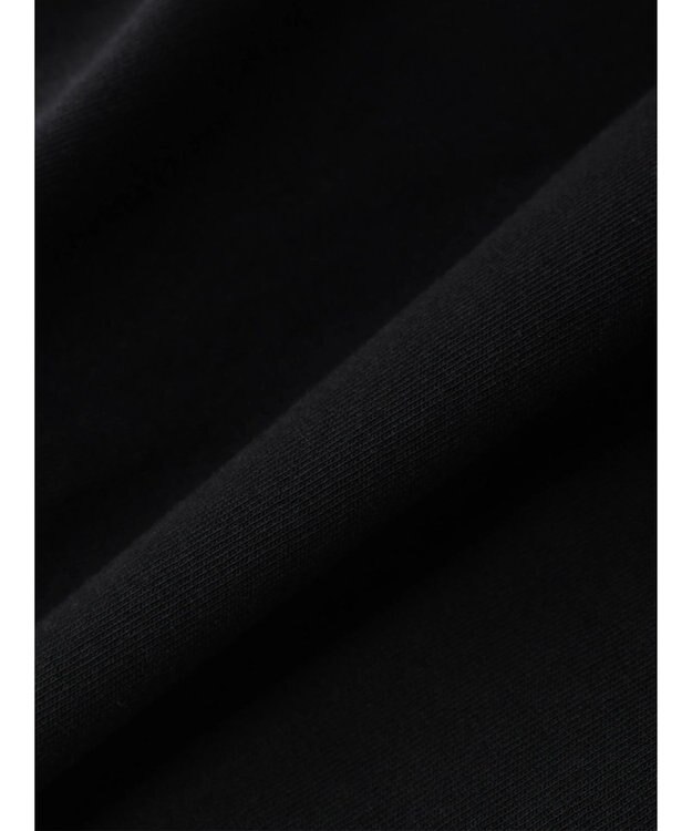 Green Parks Ｄｉｓｎｅｙ１００　ライオンキング／Ｔシャツ Black