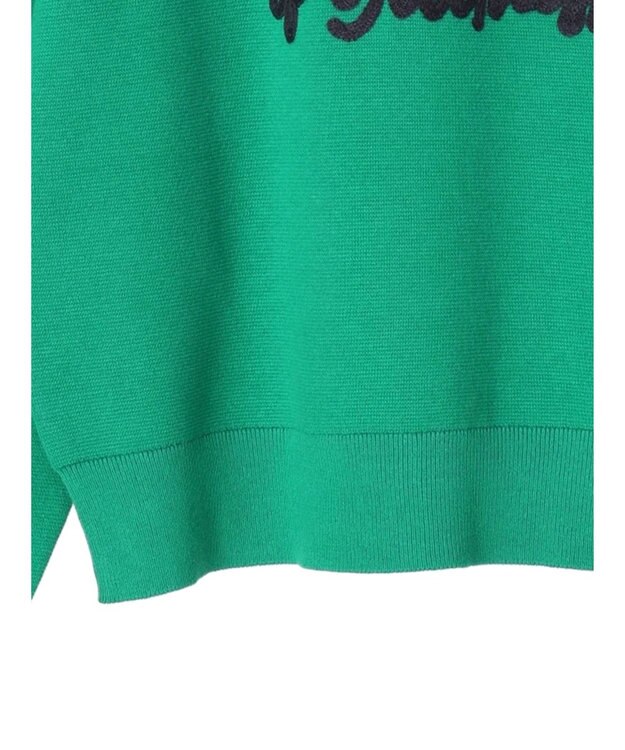 AMERICAN HOLIC サガラ刺繍ミラノリブニットプルオーバー Green