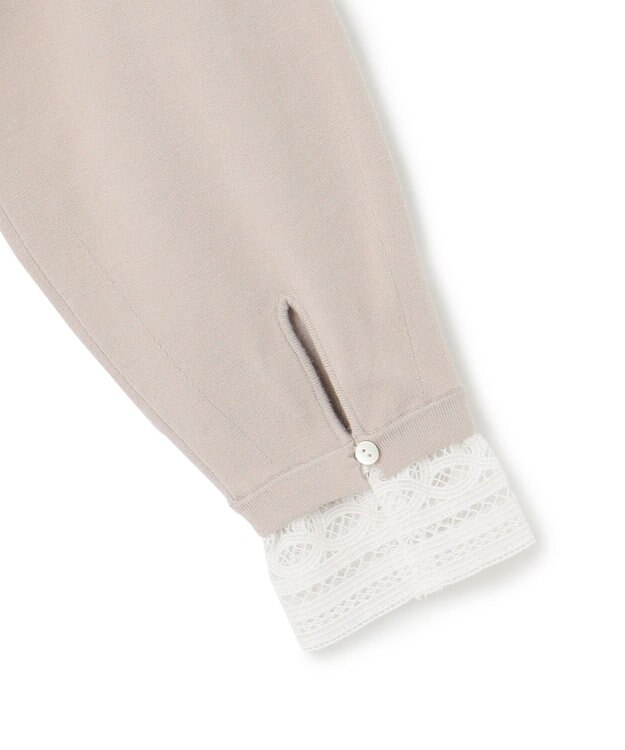 23区 S 【洗える】ヴィスコースストレッチ レースコンビ ニット ベージュ系