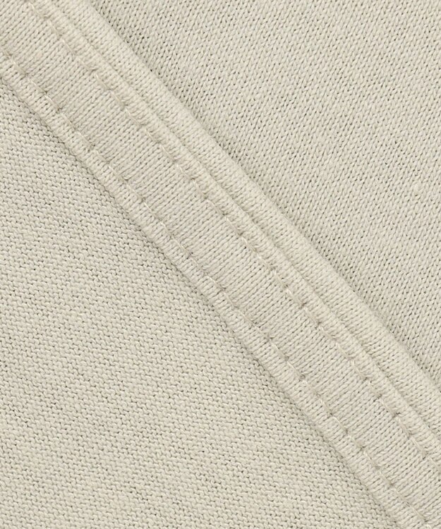 ANY L 【洗える】フロッキーロゴ Tシャツ オイスター