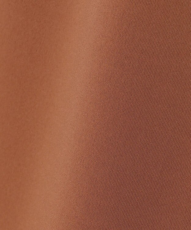 BEIGE， 【洗える】ALTHEA / ダンボールジャージーハイウエストIラインスカート Brown