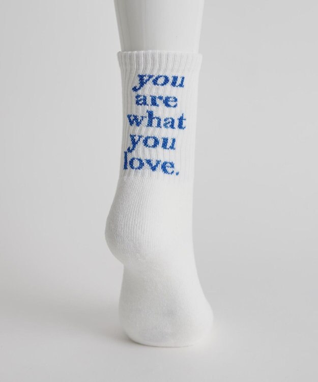 WEGO バックラメロゴソックス ブルー