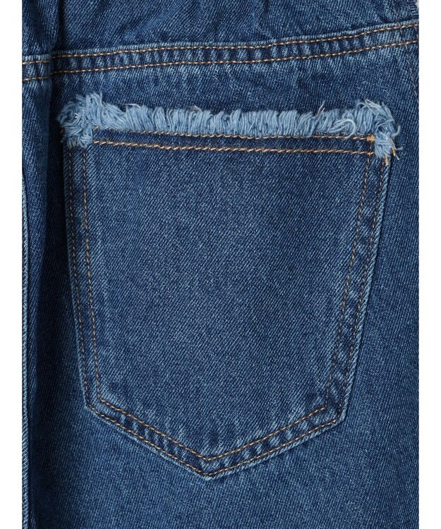 Green Parks ・Ｄｏｕｂｌｅ　Ｆｌａｇｓフリンジラインストレートデニム Indigo