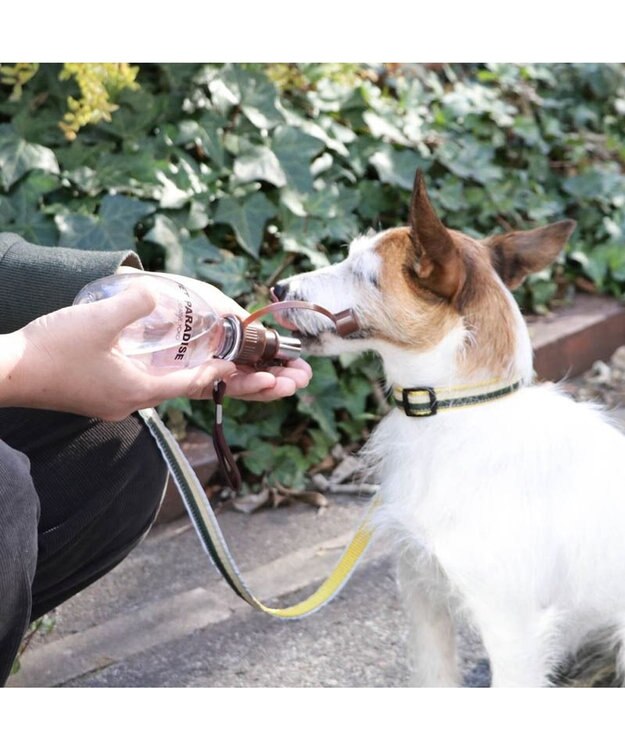 PET PARADISE 犬用品 ペットグッズ お散歩  お水携帯ボトル（茶）220ｍＬ 茶系