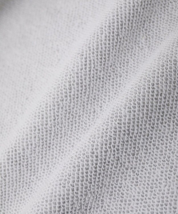 Green Parks ■PEANUTS スヌーピーミニ刺繍スウェット Gray