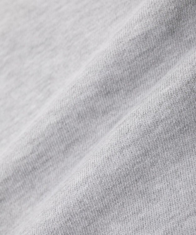 Green Parks ■PEANUTS スヌーピーミニ刺繍スウェット Gray