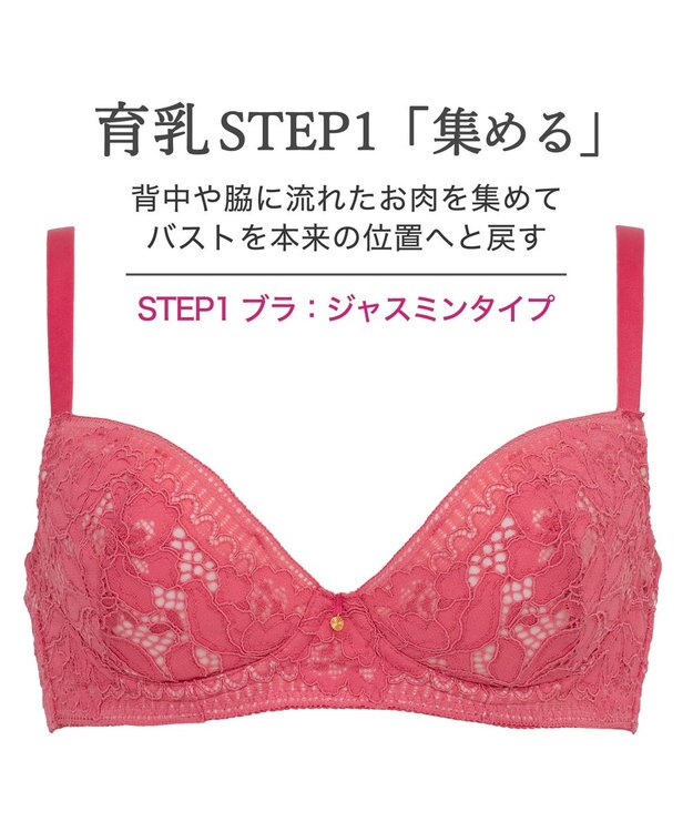 BRADELIS New York 【BRADELIS New York / 育乳補整ブラ・STEP1 集める】ジャスミンステップ1ブラ26S1 チェリー