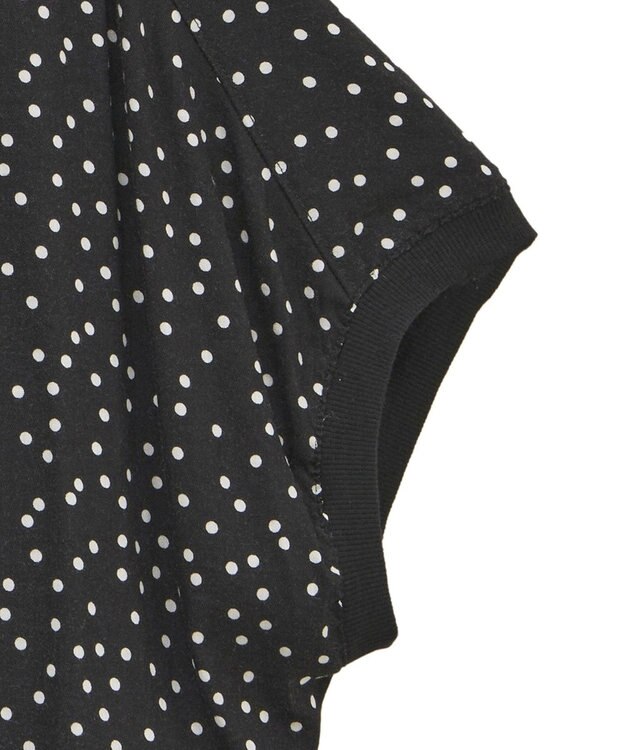 Green Parks Ｔブラウスドルマンスリーブプルオーバー Black