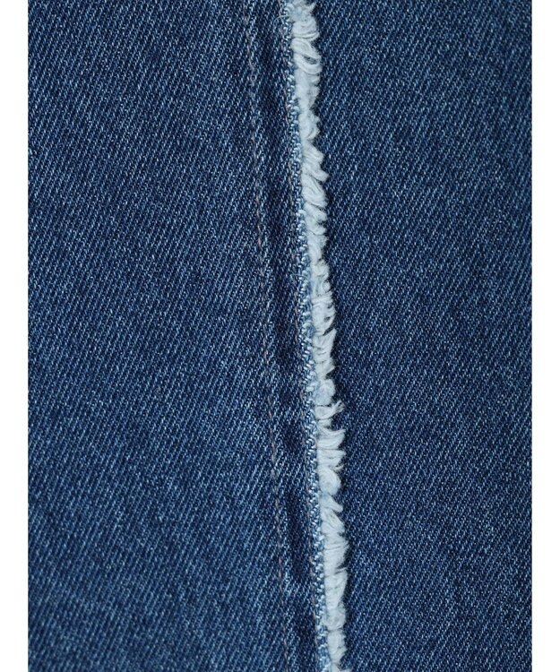 Green Parks ・Ｄｏｕｂｌｅ　Ｆｌａｇｓフリンジラインストレートデニム Indigo