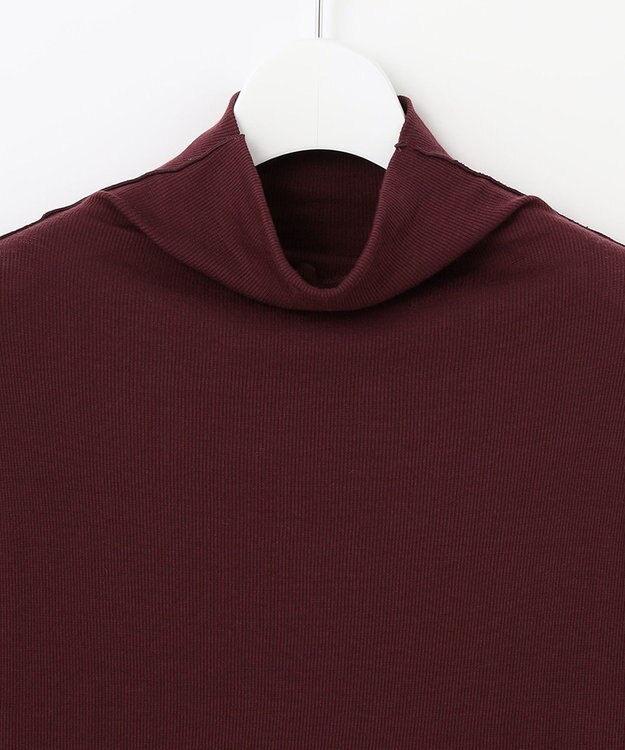 自由区 【XSサイズ～/洗える】ベアテレコ ボトルネック カットソー ワイン系