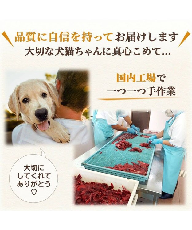 PET PARADISE ペットパラダイス 犬 おやつ デリスタイル8種類 肉系セット（ジビエ含む） -