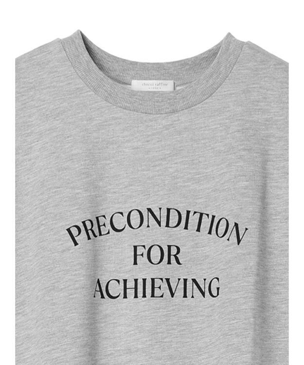 Green Parks ７分袖チュールドッキングロゴワンピース Gray Mixture