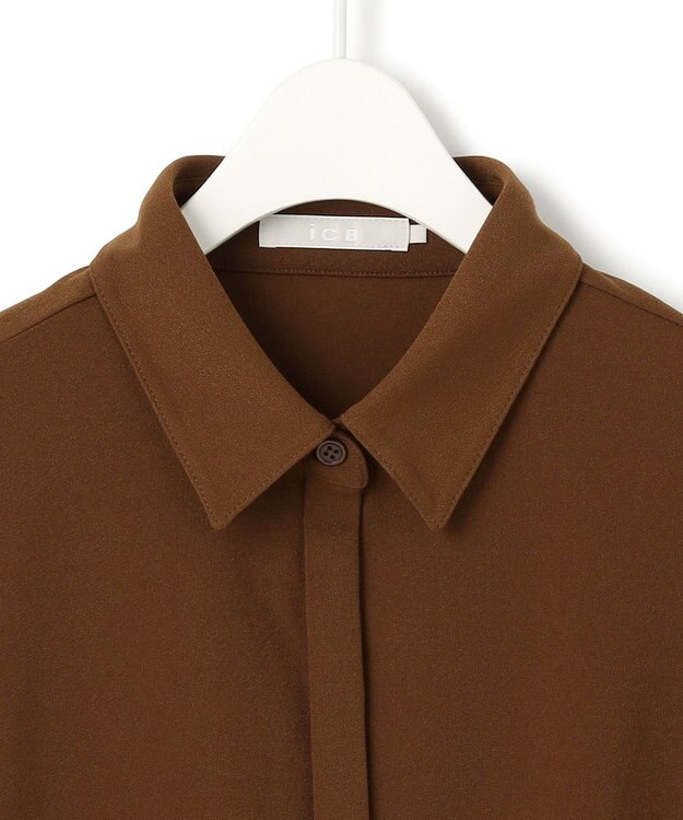 ICB 【洗える】マラボーテジョーゼット ボウタイデザインカットソー コーヒー系